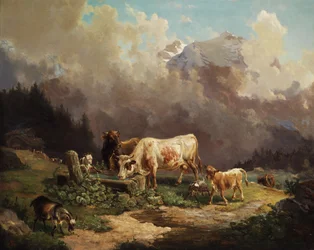 Vieh im Hochgebirge an der Tränke